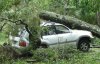 Rebuild Your Cruiser!